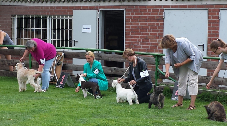 Ahlen 2015 (2)