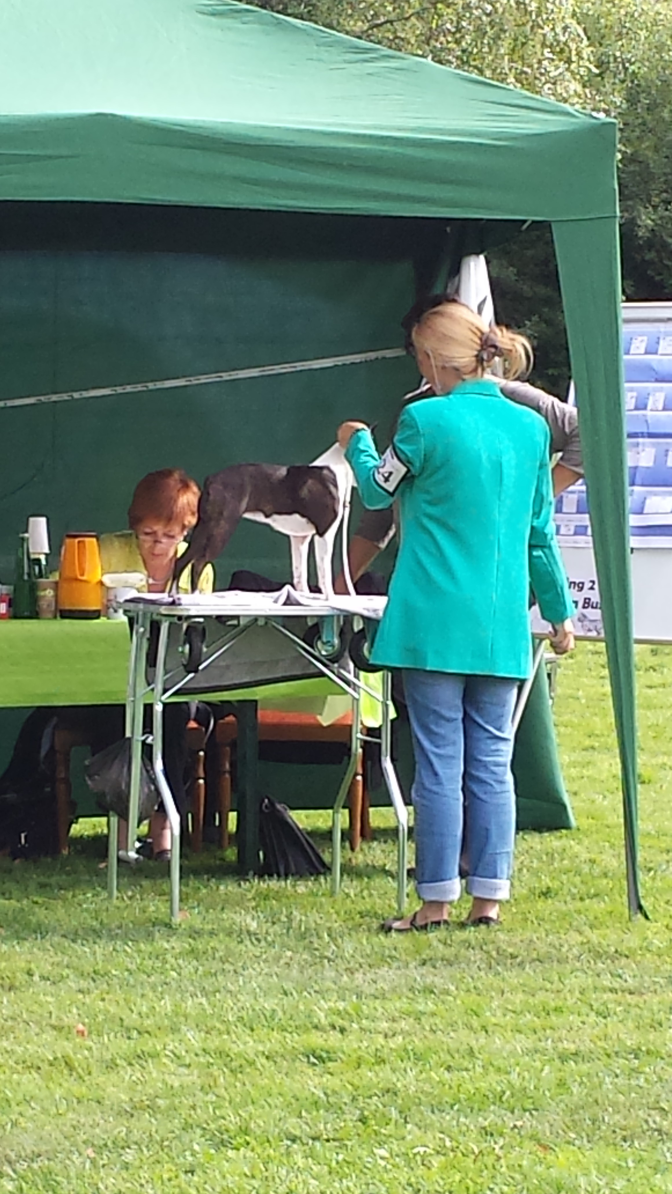 Ahlen 2015c