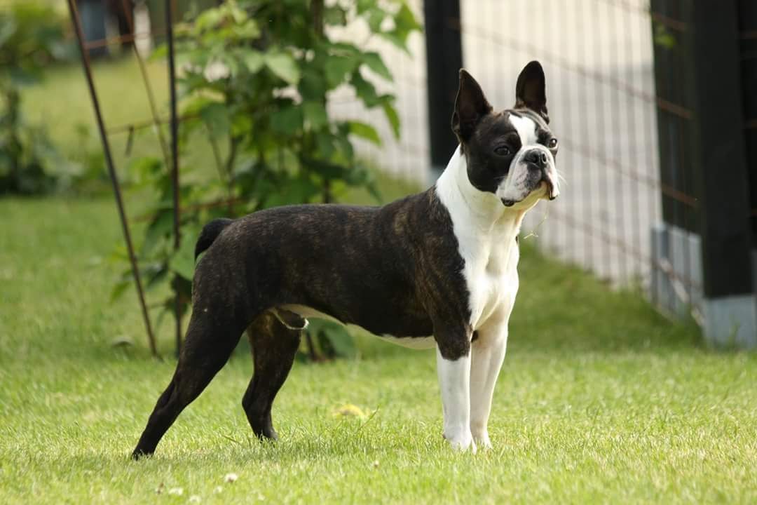 Charlton Semmi 1 Jahr