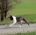 IMG_4314