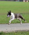 IMG_4316
